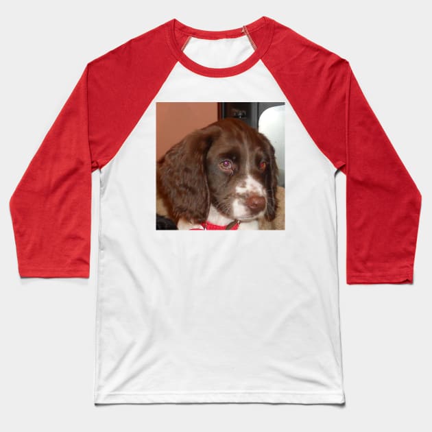 english springer spaniel liver white puppy Baseball T-Shirt by Wanderingangel